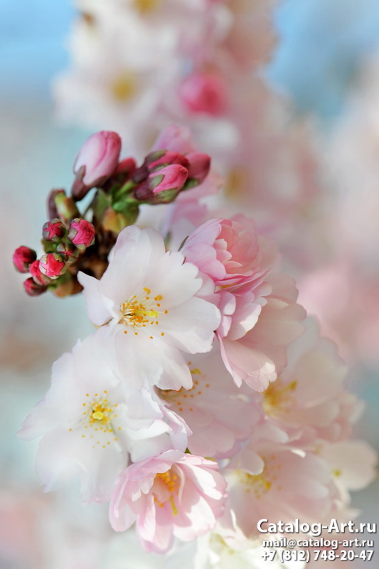 Blossom tree 60
